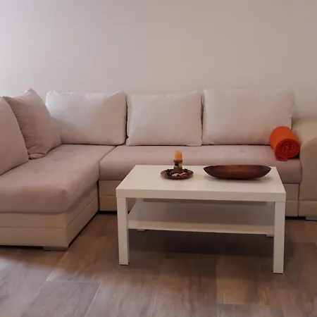 Apartment Nena- Apartman Sa Posebnim Ulazom U Prizemlju, Terasom I Zelenom Okucnicom Rakotule Exterior photo