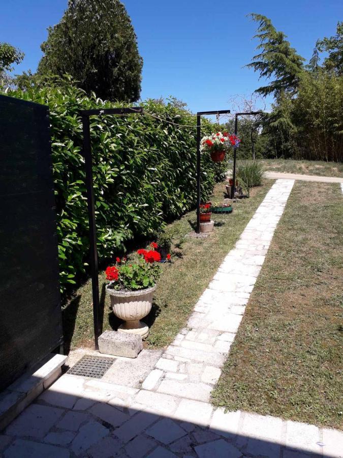 Nena- Sa Posebnim Ulazom U Prizemlju, Terasom I Zelenom Okucnicom