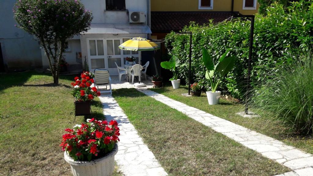 Apartment Nena- Sa Posebnim Ulazom U Prizemlju, Terasom I Zelenom Okucnicom Rakotule